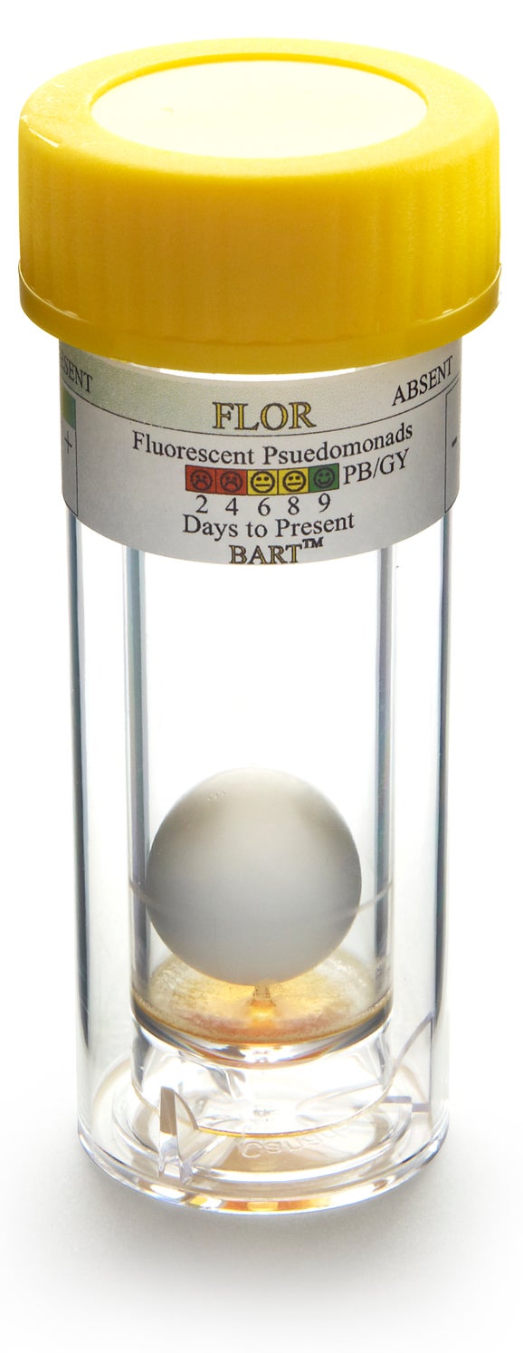 BART Test for Fluorescing Pseudomonas, pk/9